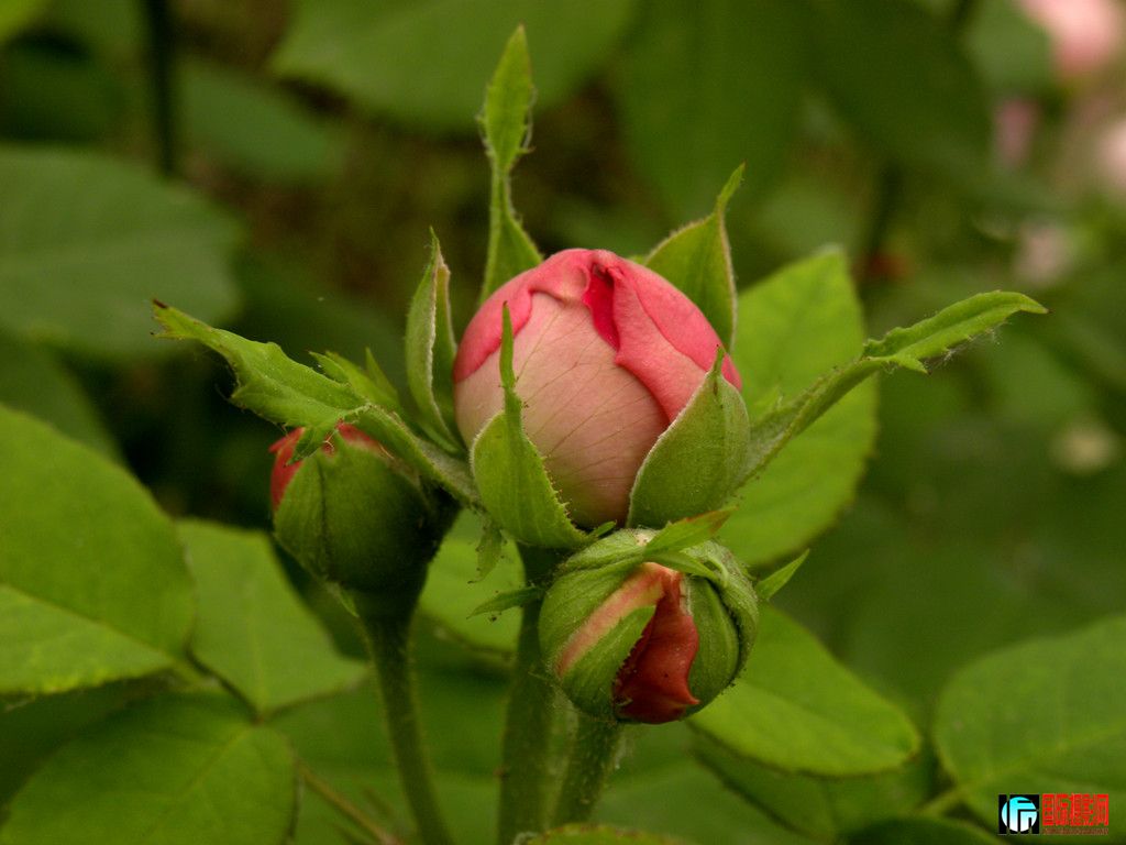 DSCN9700_.jpg