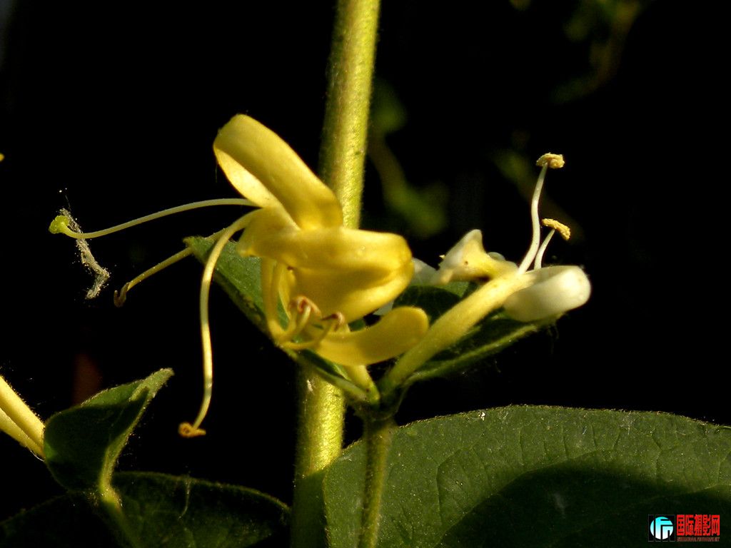 DSCN9827_.jpg