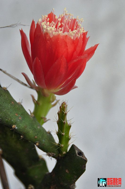 DSC_0109.jpg