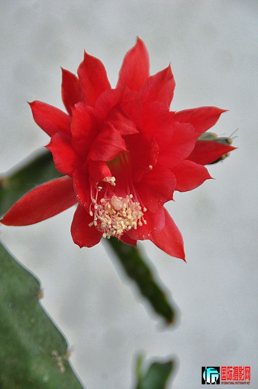DSC_0099.jpg