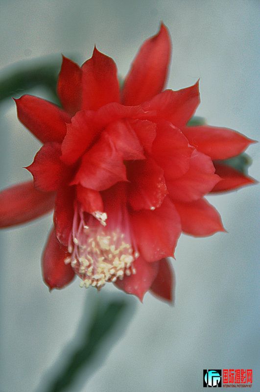 DSC_0122.jpg