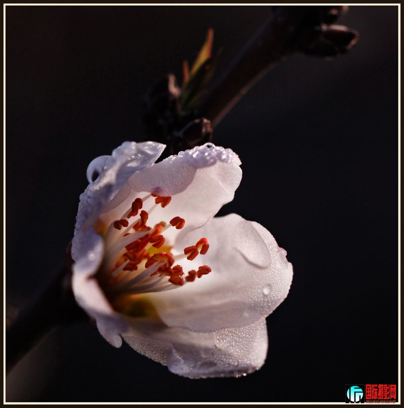 ӻ-049