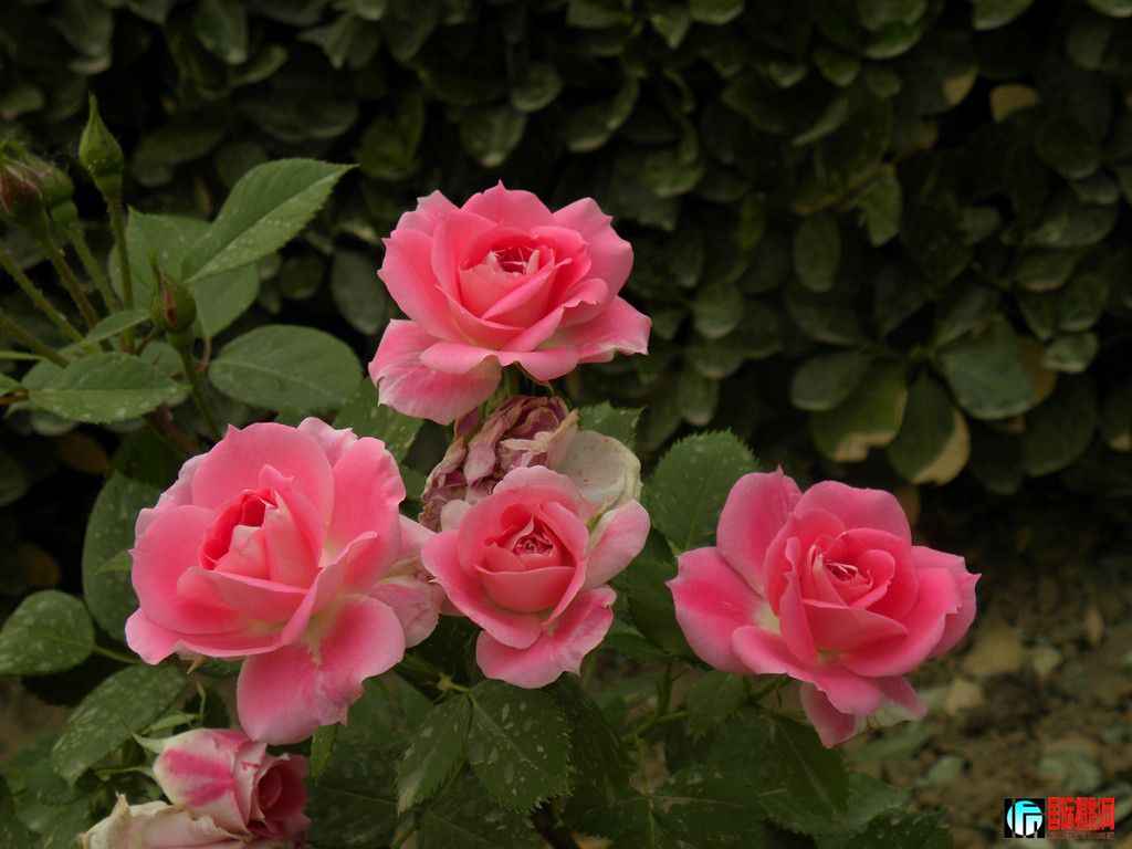 DSCN0099_.jpg