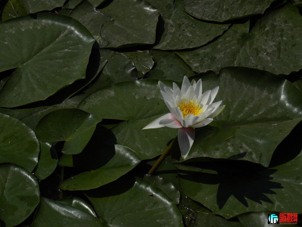DSCN9990_.jpg
