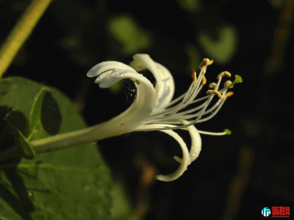 DSCN9826_.jpg