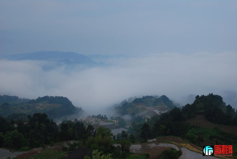 DSC_0728-1.jpg