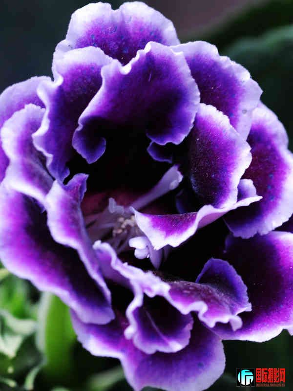 DSC_2776.jpg