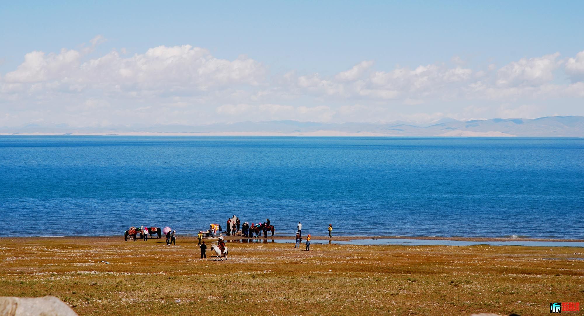 DSC_0134.jpg