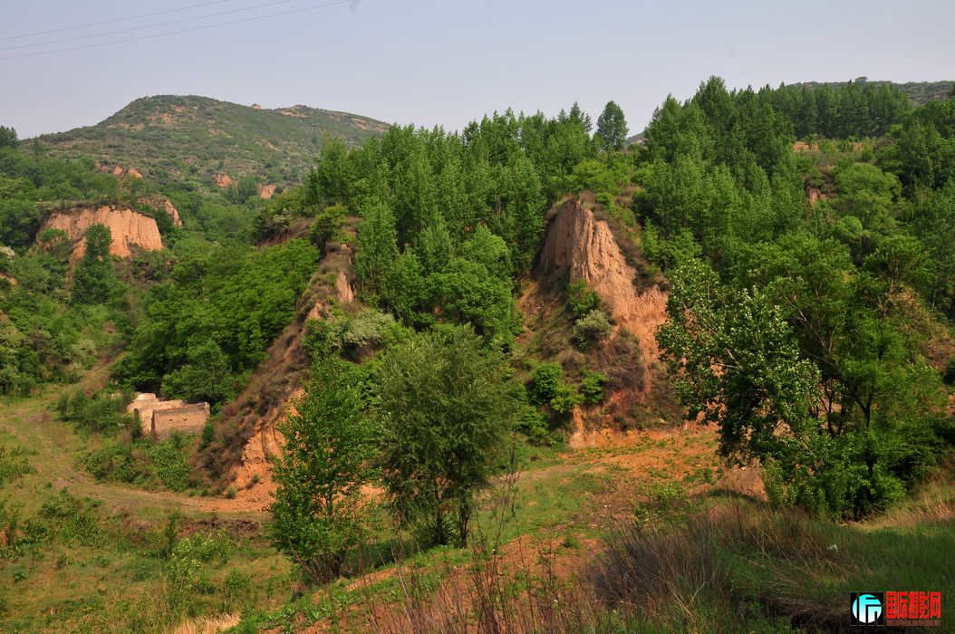 DSC_31.jpg
