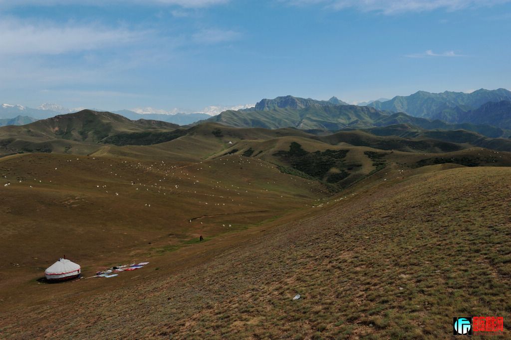  DSC_2656.JPG