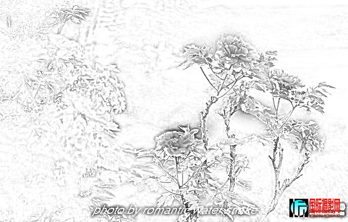 6_71842_e5d47f5840ceafc.jpg