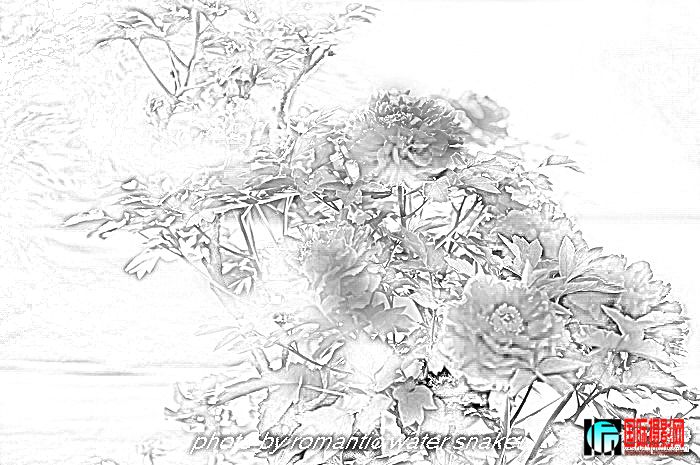 6_71842_820b93e9082f302.jpg