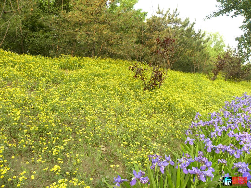 DSCN9342_.jpg