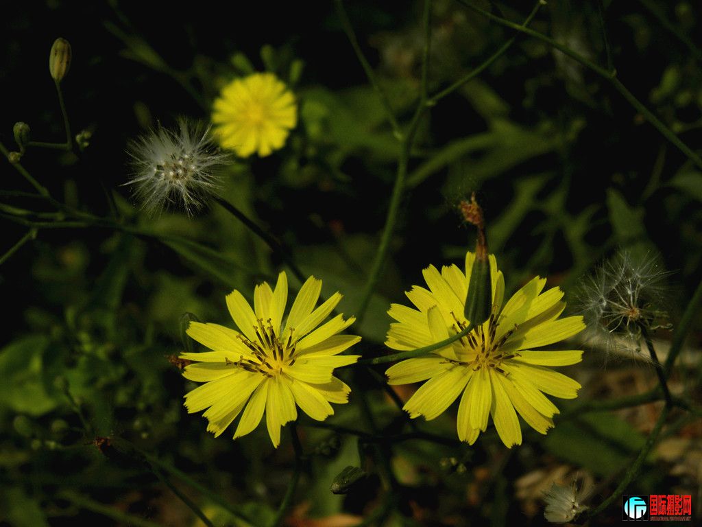 DSCN3221_.jpg