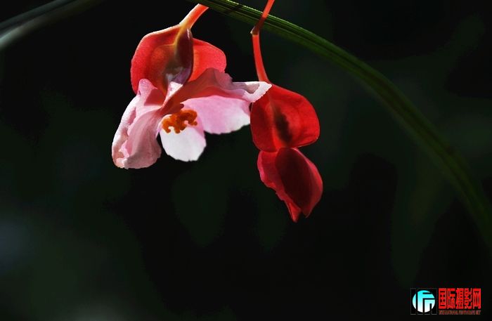 DSC_0008.JPG