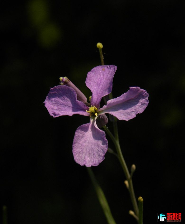 DSCN5387_.jpg