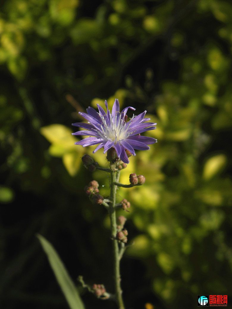 DSCN5409_.jpg