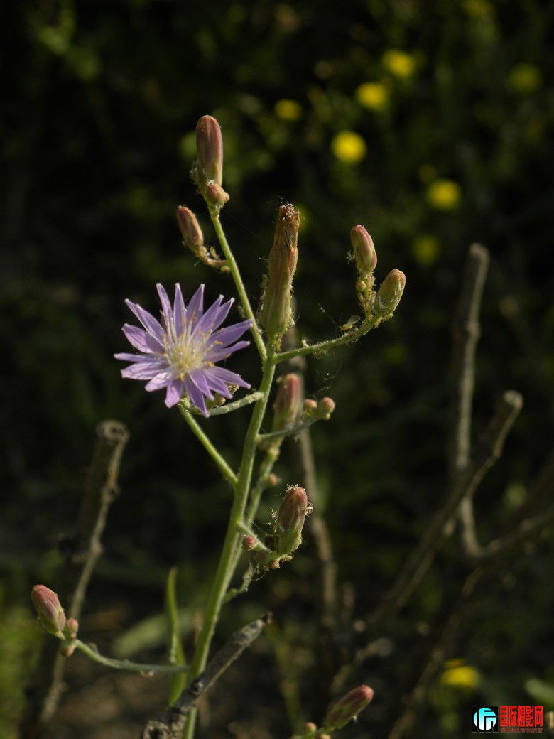 DSCN5402_.jpg