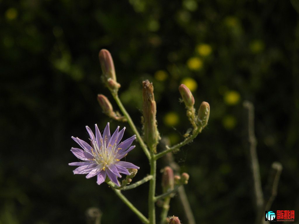 DSCN5405_.jpg