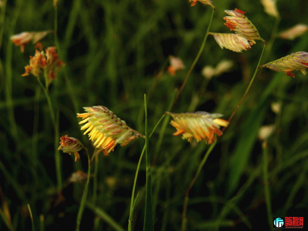 DSCN5484_.jpg