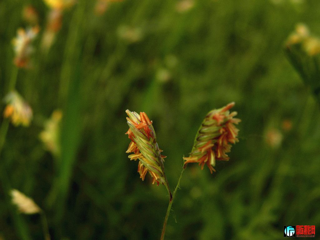 DSCN5482_.jpg