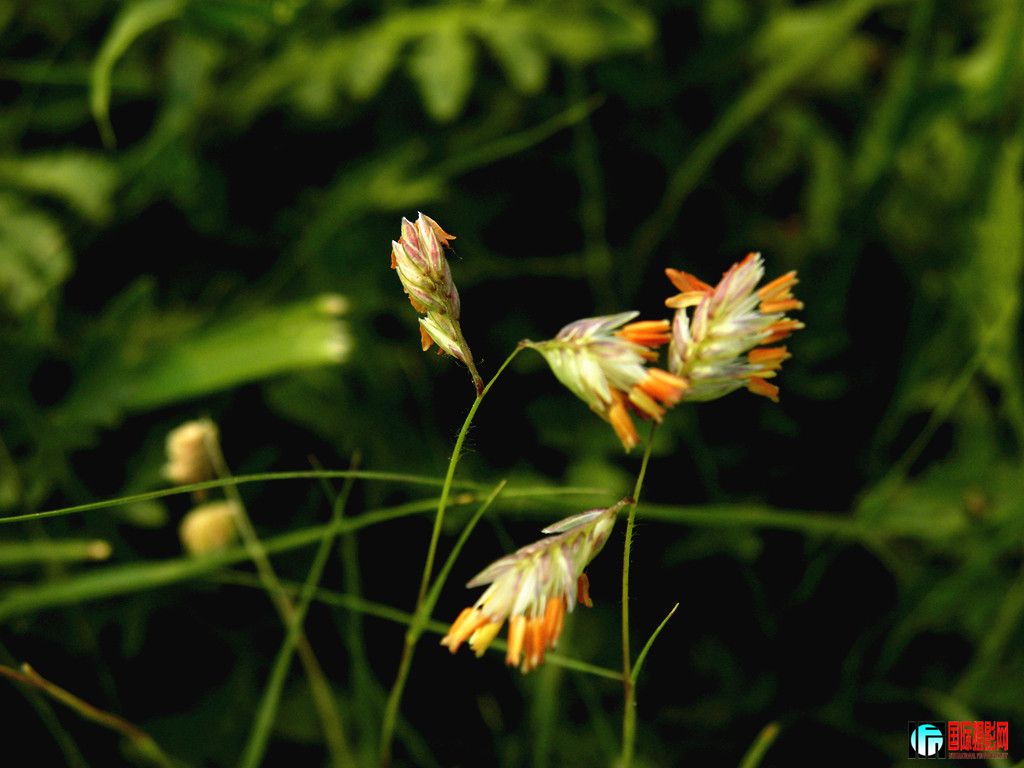 DSCN5485_.jpg
