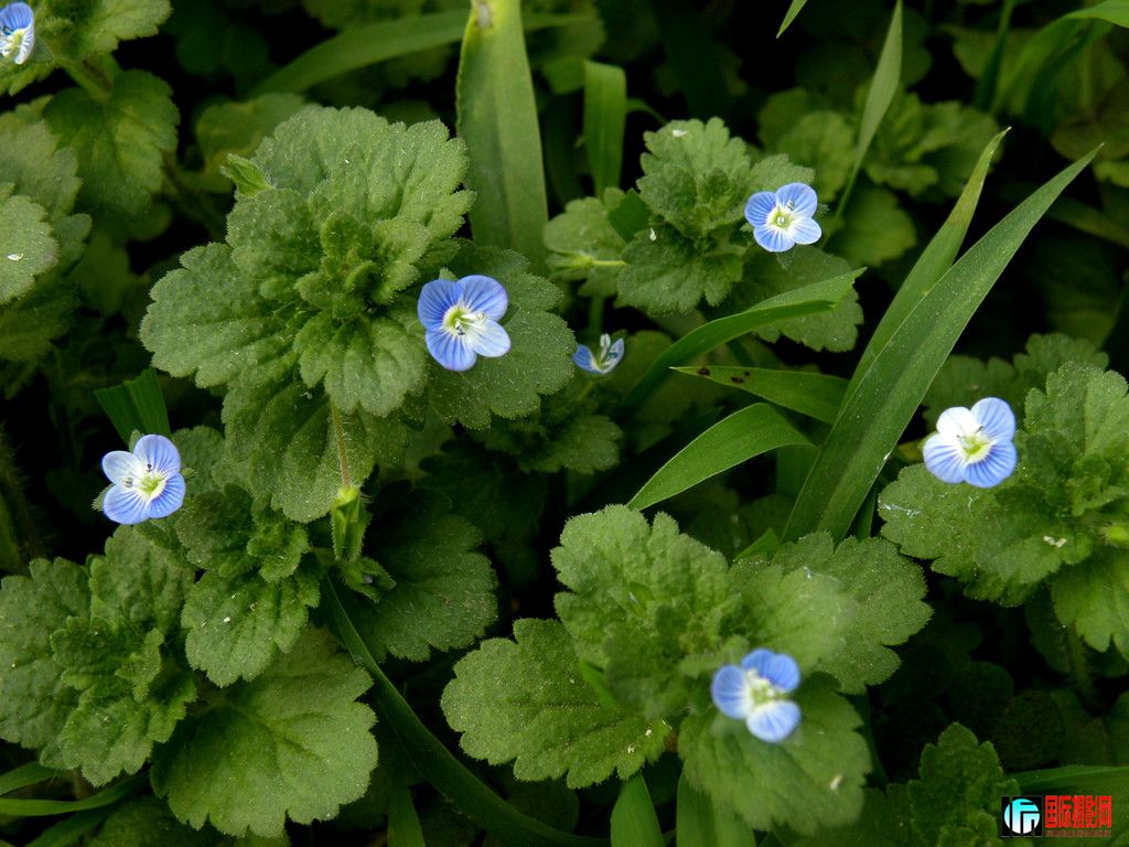 DSCN5553_.jpg