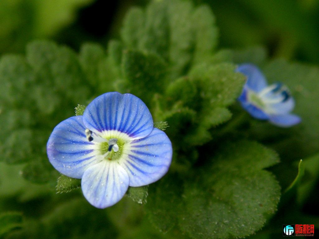 DSCN5561_.jpg