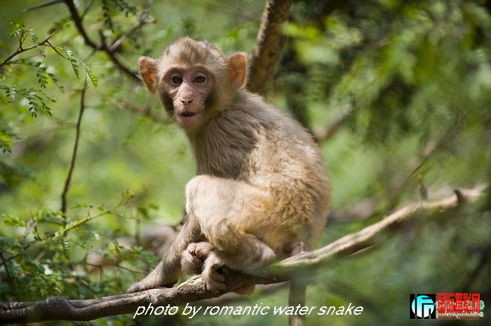 6_71842_f4ec34d33a29864.jpg