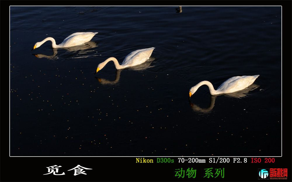 DSC_3989.JPG