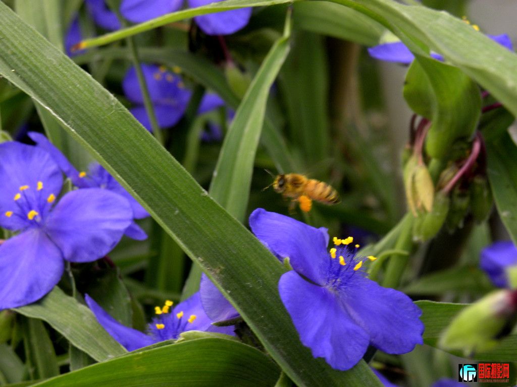 DSCN4926_.jpg