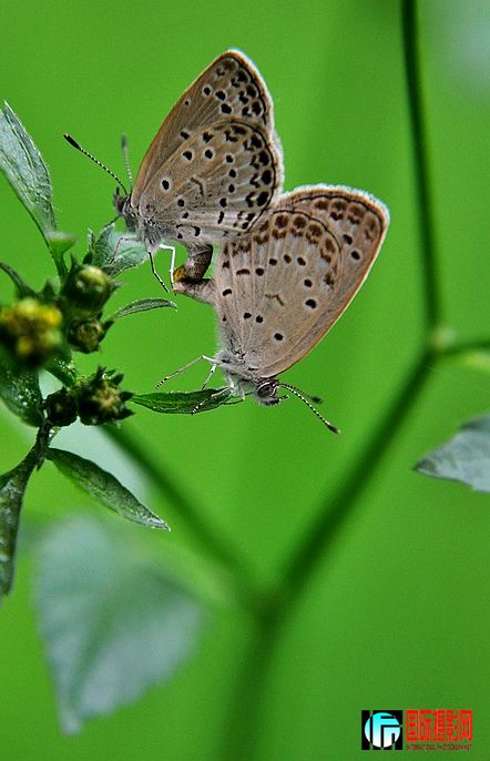 DSC_0133.JPG