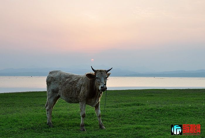 DSC_0058.JPG