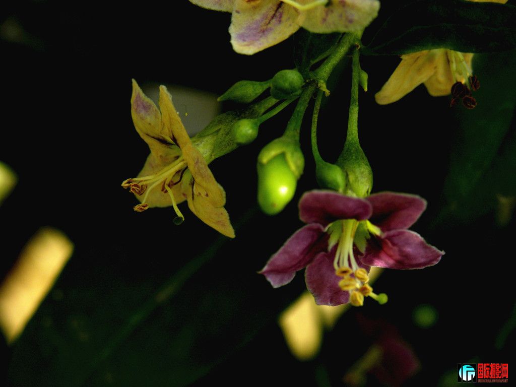 dscn5994_.jpg