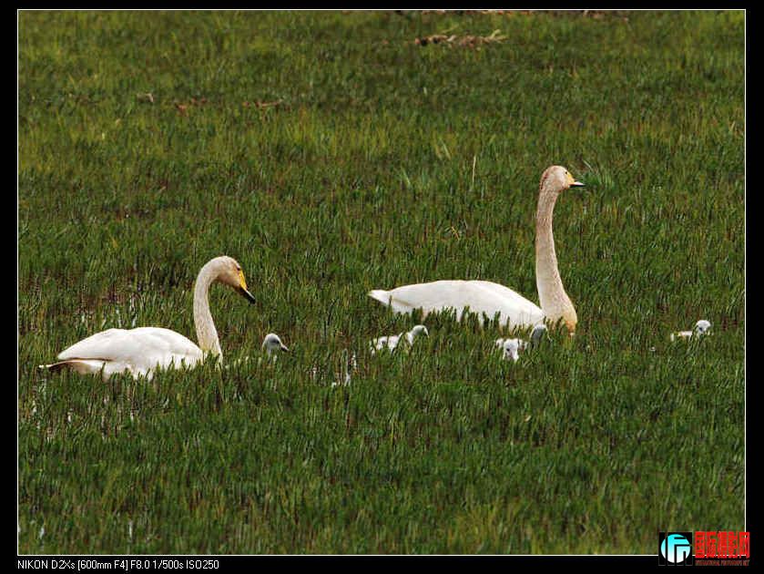 DSC_0374.jpg