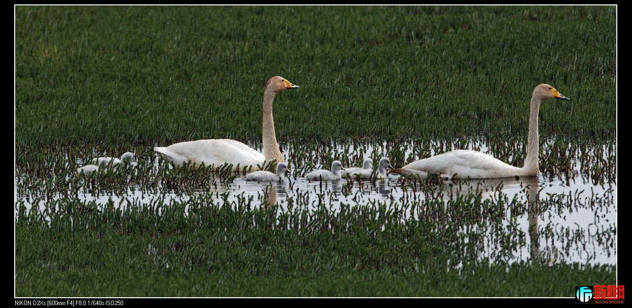 DSC_0399.jpg
