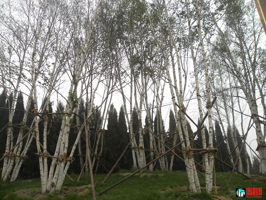 DSCN5898_.jpg