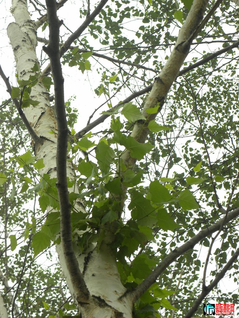 DSCN5903_.jpg