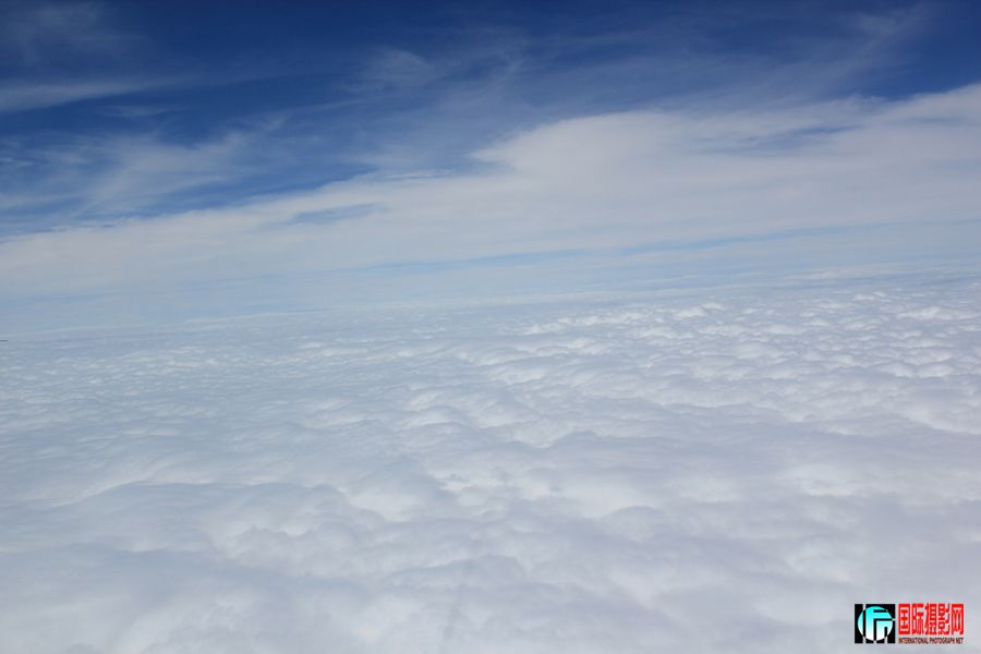 9001.jpg