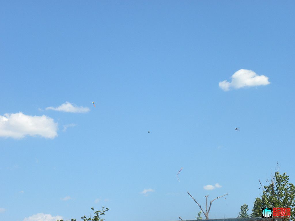 DSCN5854_.jpg