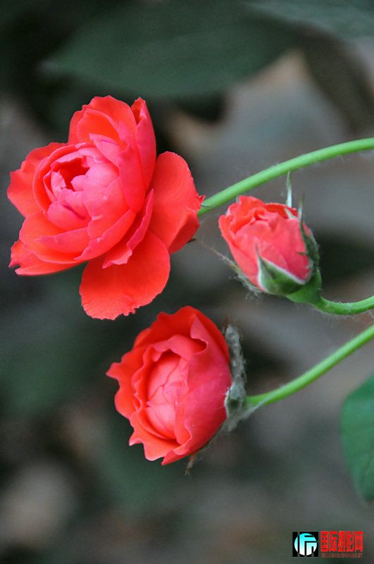 DSC_0006.jpg