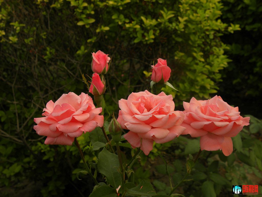 DSCN0067_.jpg