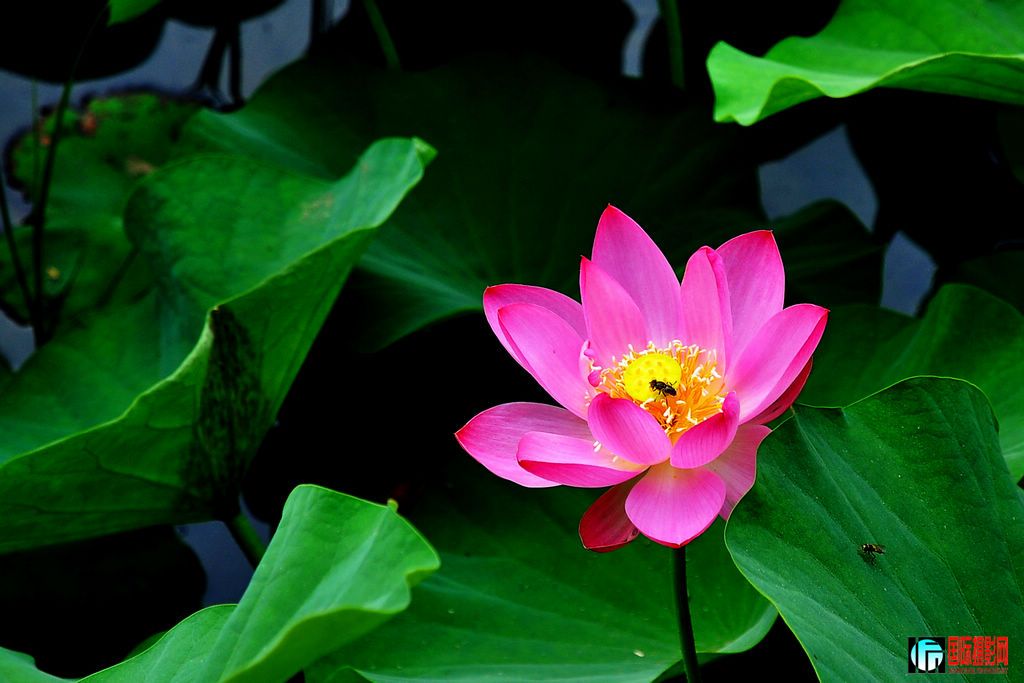DSC_0039_14417.jpg