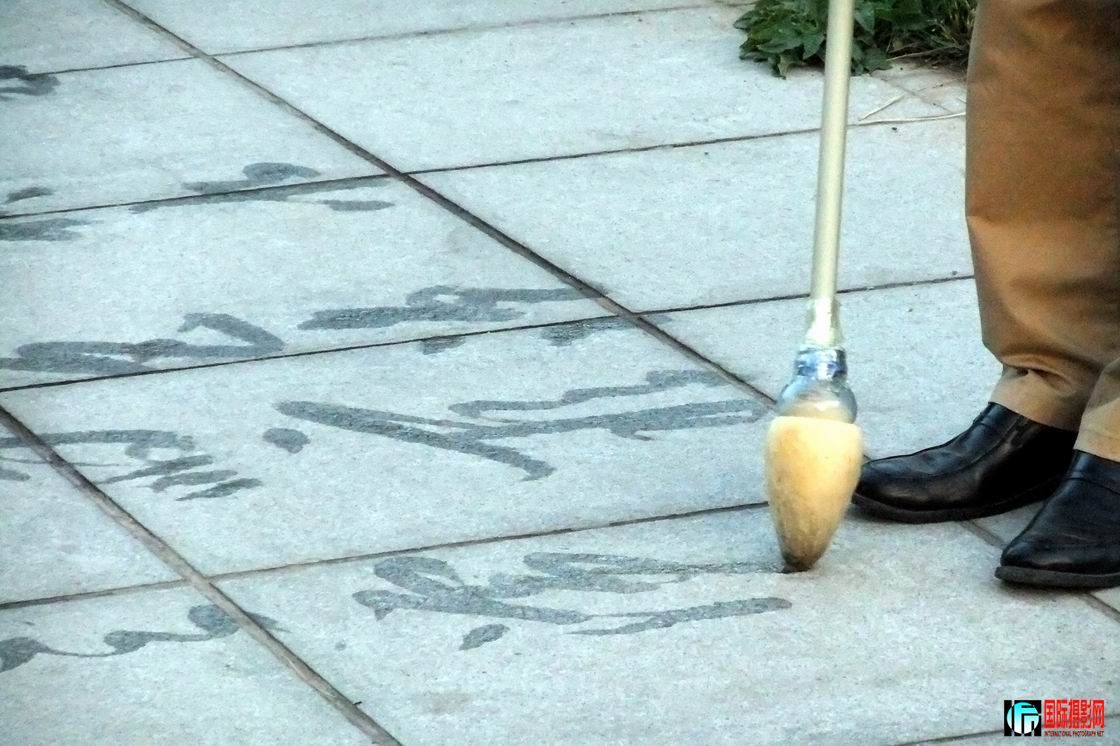 鷨2.jpg