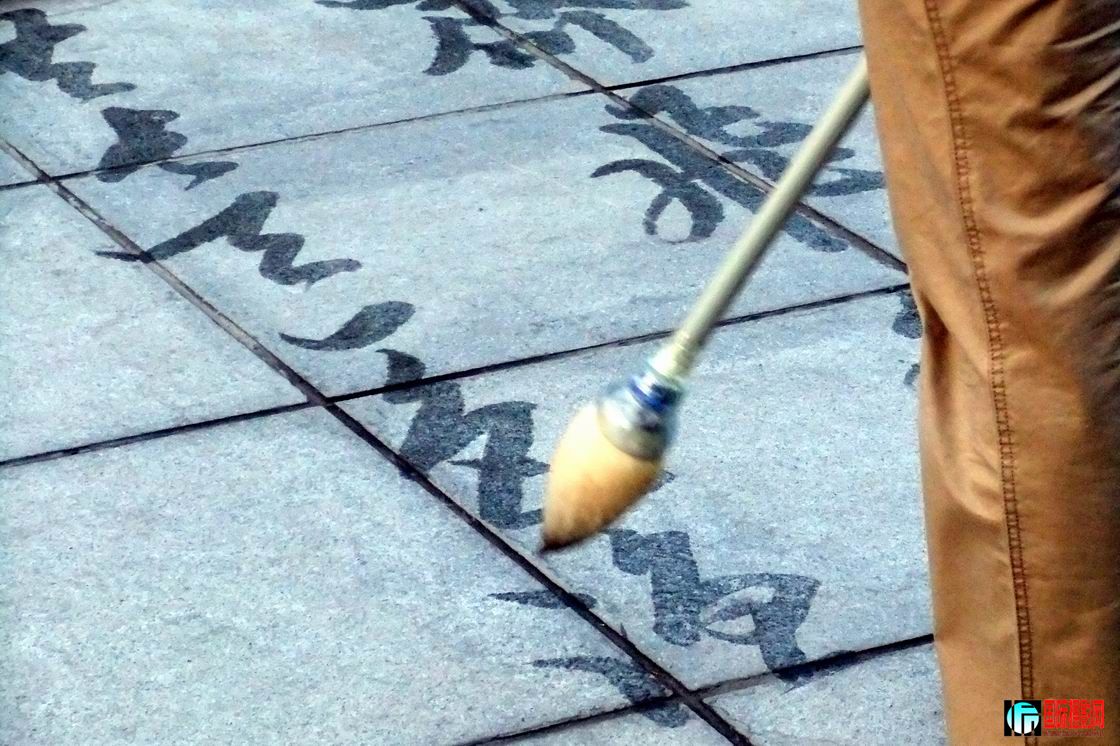 鷨1.jpg