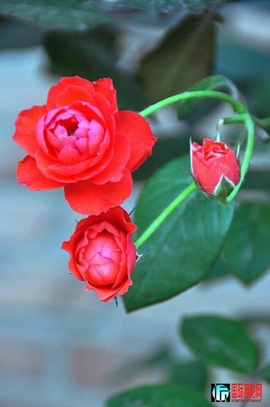DSC_0003.jpg