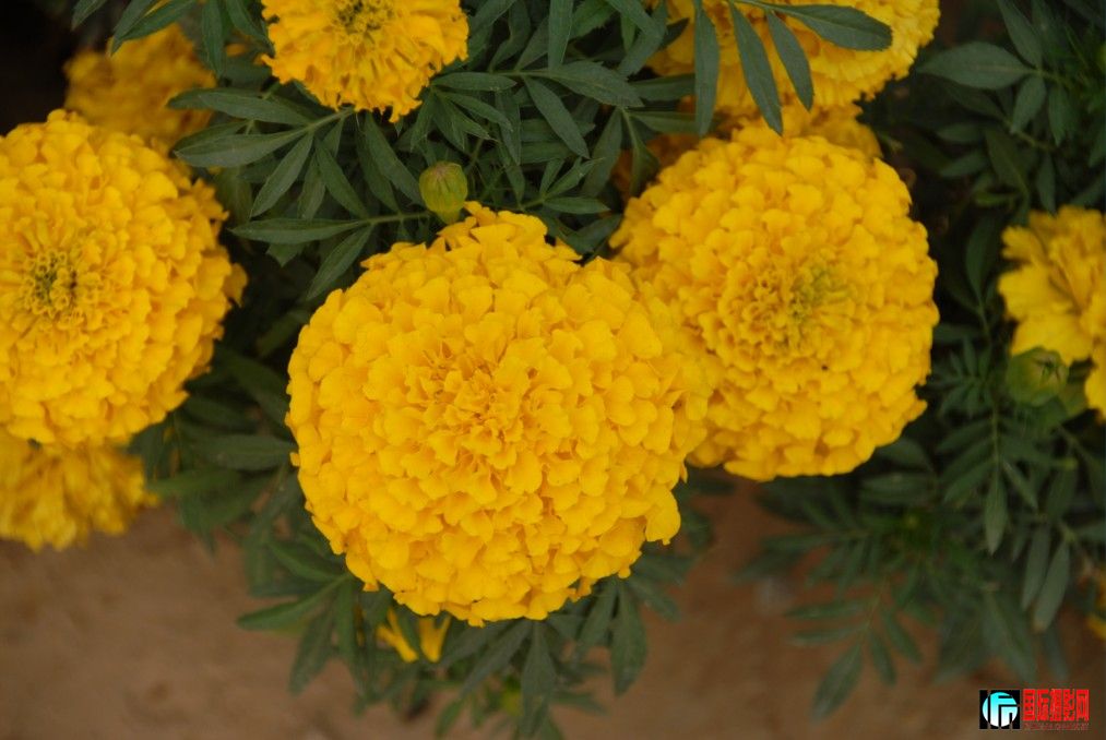 20120618221750.jpg