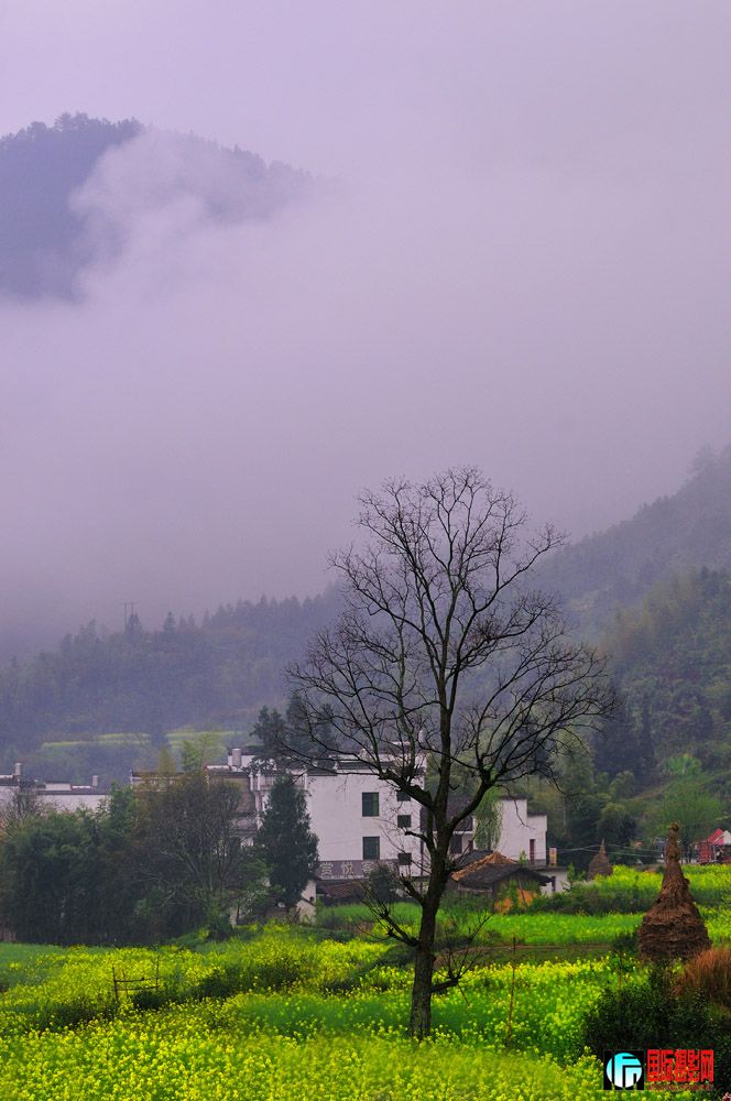 DSC_2743.jpg