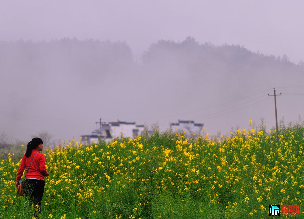 DSC_2752.jpg