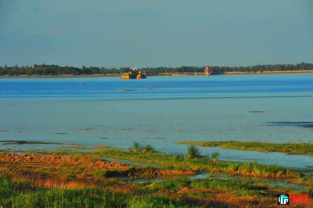  DSC_3535.JPG